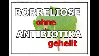 Borreliose natürlich geheilt Gesundheitsexperte Sören Schumann verrät wie [upl. by Myrtia350]