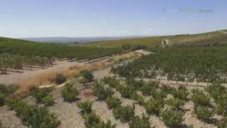 Bodega Ximénez Spínola de Jerez Cadiz [upl. by Sanborn203]