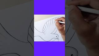 Bird Drawing shorts youtubeshorts illustration art artwork [upl. by Nitsyrk]