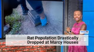 NEWS12 NYCHA Reduces Rat Burrows by Over 90 [upl. by Hobie]