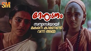 മകനെ സന്യാസിയായി കാണേണ്ടി വന്ന ഒരമ്മ  Desadanam  Vijayaraghavan  Master Kumar [upl. by Aronel]