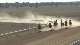 Blackall 20241019 Race 5 [upl. by Marlene883]