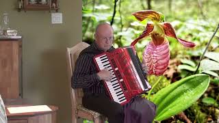 Gramofon Waltz by Eugen Doga Played on Accordion [upl. by Mccullough]