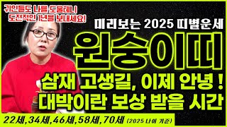 미리보는 2025 을사년의 원숭이띠 운세  22세34세46세58세70세 되는 원숭이띠 여러분 삼재 고생길 이제 안녕 대박이란 보상을 받을 시간이 돌아왔습니다 [upl. by Ycart]