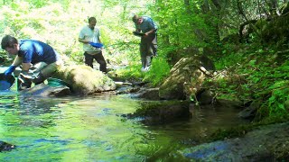 Dahlonega GA Road Trip  gold panning on the Chestatee River Georgia [upl. by Letnwahs]