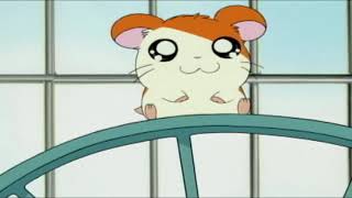 HAMTARO Little Hamsters Big Adventures [upl. by Apthorp]