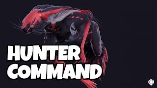 WARFRAME  HUNTER COMMAND  Review  Combinations [upl. by Haleak]