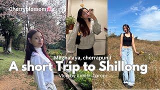 A short Trip to Shillong 🌸  Vlog54  💌🧿 [upl. by Mamie]