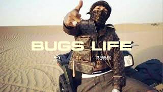 Ayra Star x Wizkid x Burna Boy x Stormzy Afrobeats Type Beat 2024  quotBUGS LIFEquot [upl. by Lise]