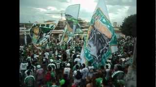 Torcida Gamense  Aquecimento Ira Jovem Gama  Gama x Brasiliense [upl. by Akemehc78]