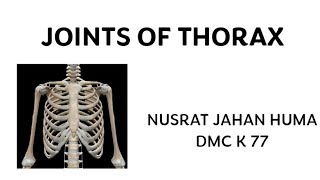 JOINTS OF THORAX anatomy medical 1styearmbbs thorax [upl. by Lavinia661]