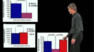 Kai Simons MPI Part 3 Biogenesis of glycolipidrich apical membranes [upl. by Rebliw]