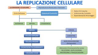 LA REPLICAZIONE CELLULARE IN 5 MINUTI [upl. by Cirdor]