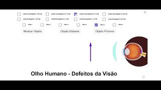 Simulador de de Olho Humano Defeitos da Visão [upl. by Nylhtiak]