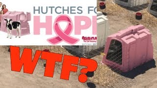 Dairy Biz Makes Pink Calf Hutches for Breast Cancer Awareness [upl. by Ahtoelc237]