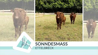 Sonndesmass vun der Foire Agricole 07072024 [upl. by Crowell150]