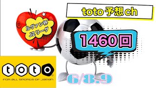 1460回toto予想 689 [upl. by Ertnom451]