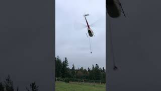 R44 Helicopter Flying Christmas Trees 2023 Part 13 [upl. by Amathist]