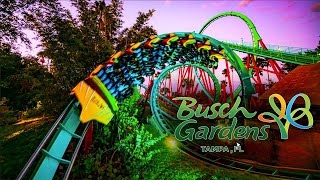 The 2024 ABSOLUTE GUIDE To Busch Gardens Tampa [upl. by Jami512]