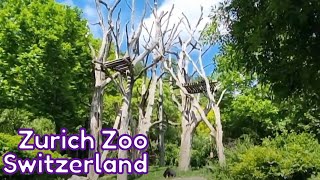 Zurich Zoo  Animals And Nature Together  Masoala Rainforest [upl. by Eremehc]