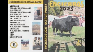 Lo Mejor del Año Encierros 20238 Parte [upl. by Einnos504]