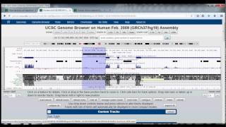 4 UCSC Genome Browser Tutorial table browser [upl. by Esinehc]