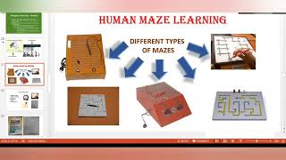 Maze Learning Experiment and Theory मानव भूल भुलैया प्रयोग psychologypractical psychology [upl. by Ladnar]