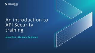 Intro To API Security [upl. by Nyladnar]