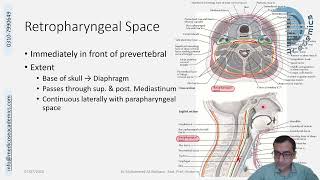 Fascial Spaces in Neck [upl. by Mehelhteb]