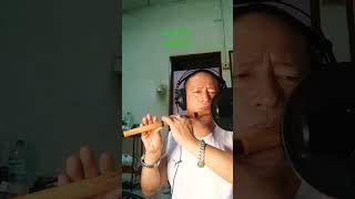 Happy diwali ।। bhaileni aayo aagana ।। bhaileni song flute ।। ft raj kirant bhaile flute [upl. by Certie]