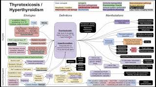 Hyperthyroidism  thyrotoxicosis mechanism of disease [upl. by Winthorpe]