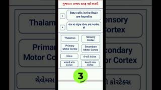 Gujarat Staff Nurse Exam Question [upl. by Ettennek34]