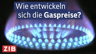 Gasversorgung in Österreich So geht es weiter  ZIB2 vom 12112024 [upl. by Alejo250]