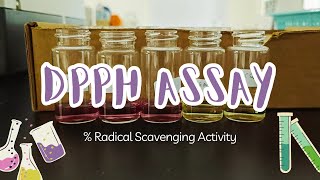 DPPH assay  Radical scavenging activity   Calculation and procedure for beginner [upl. by Yelsew448]