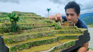 Making One of the UNESCO World Heritage Site  Batad Rice Terraces Diorama  Highest View Point [upl. by Buddy983]