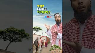 হুজুর পালাচ্ছে কেনো😱bayazid0007 trending hasbunallohstv ytshorts islamic baizedmahmud [upl. by Anirbys564]