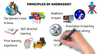 Principles of Andragogy [upl. by Earaj]