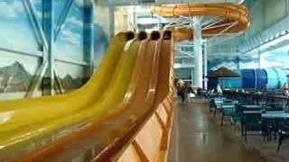 the cheetah race at the kalahari indoor water park sandusky ohio [upl. by Remmer]