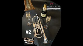 2022 WEIMANN quotVivatquot trumpet  UNBOXING  Part 2  shorts [upl. by Dearden]