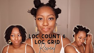 My Loc Count amp Loc Grid Revealed DIY Microloc Journey [upl. by Anovahs929]