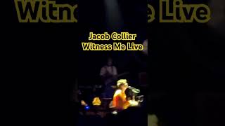 Witness Me Jacob Collier Live shorts jacobcollier witnessme [upl. by Leur]