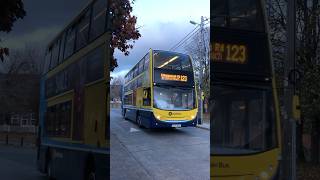 Dublin Bus Route 123  Enviro400 EV66  Kilnamanagh Road Walkinstown  1172024 [upl. by Hakilam]