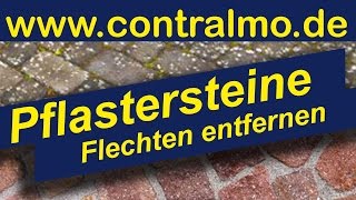 Wie man Pflastersteine reinigen kann das sind die besten Mittel so funktioniert es wir helfen [upl. by Deedahs675]