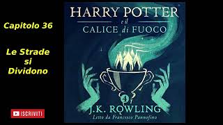 Harry Potter e il Calice di fuoco Audiolibro Italiano letto da Francesco Pannofino Capitolo 36 [upl. by Enahsed]