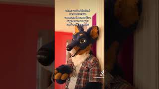 Avoiding it all furry furryfandom fursuit fursuiter fursuiters furries furries [upl. by Ainimre]