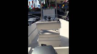 boston whaler 15 [upl. by Veradia]