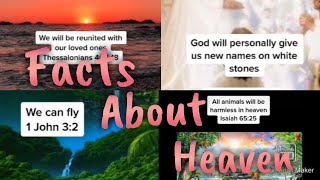 Facts about Heaven TikTok Compilation [upl. by Couchman]