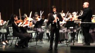 MozartClarinet Concerto Movement 1 [upl. by Anamor131]