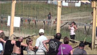 Electroshock Therapy Tough Mudder Alberta 2014 [upl. by Eidob260]