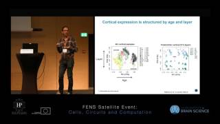 Bakken Trygve  NonHuman Primate and Human Gene Expression Studies Layer specific cell types [upl. by Adabelle116]